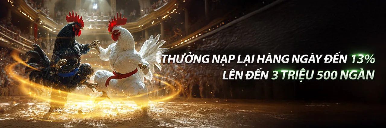 Đá gà trực tuyến PG99 chính thức với trận đấu gà kịch tính